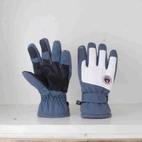 Autumn And Winter Warm Ski Gloves Touch Screen Waterproof (Option: Men's Average Size Blue-Average Size)